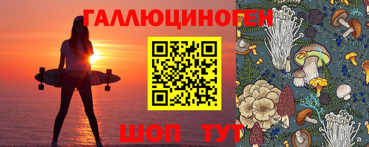 Галлюциногенные грибы мицелий Великий Новгород