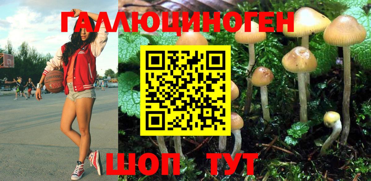 Галлюциногенные грибы прущие грибы  Вход с VPN  купить  сайты  Великий Новгород 